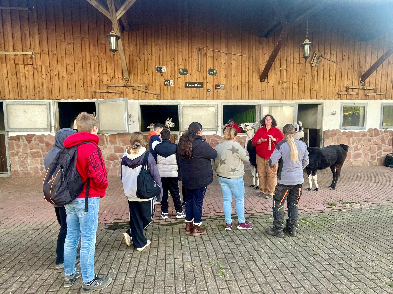Lama wandern Hof