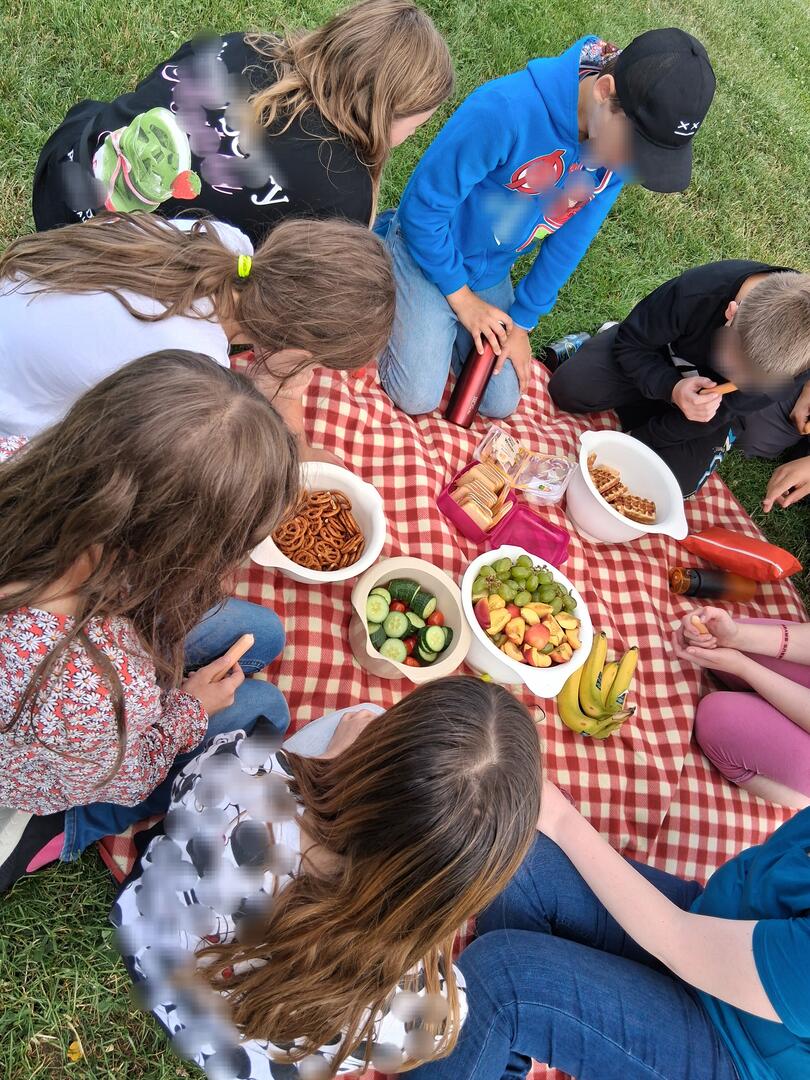 Picknick AES