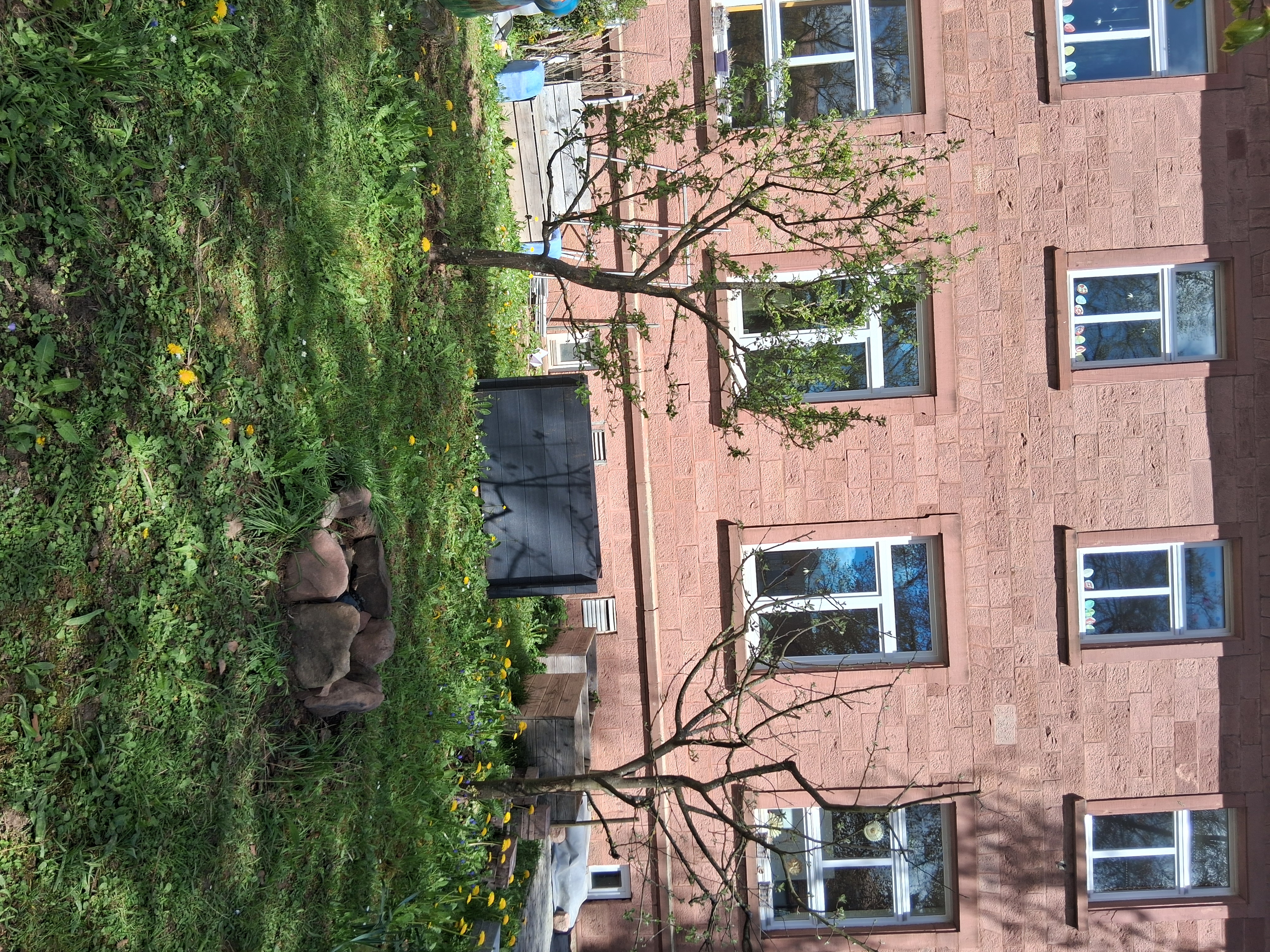 Schulgarten Frühling1