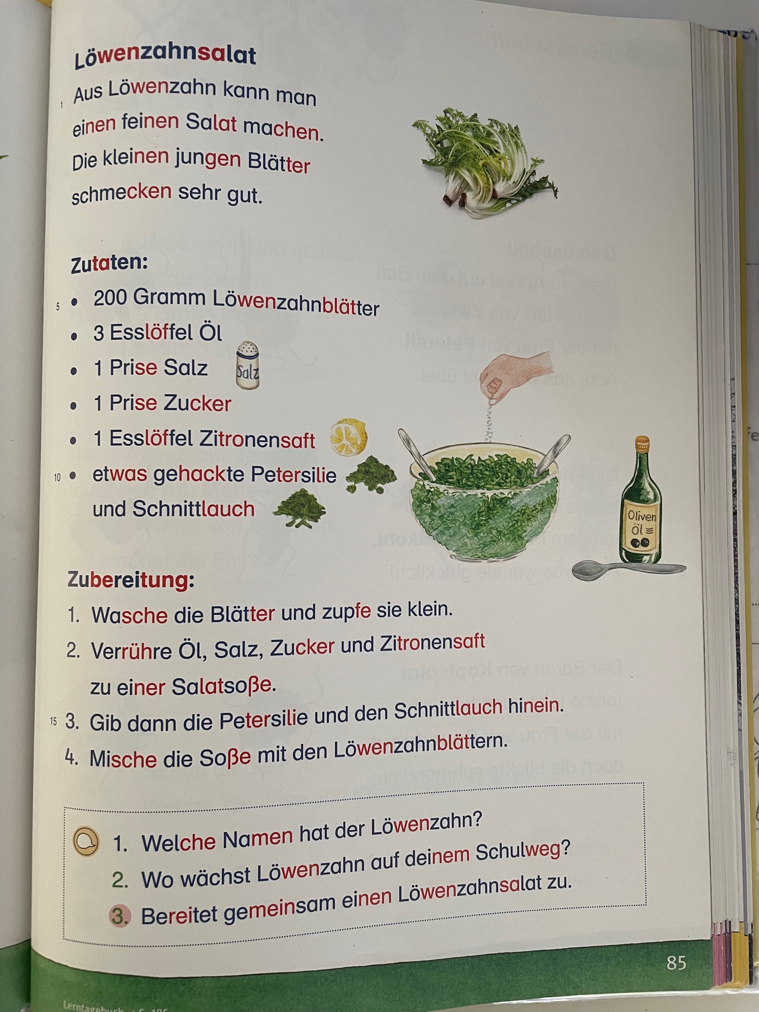 löwenzahm2